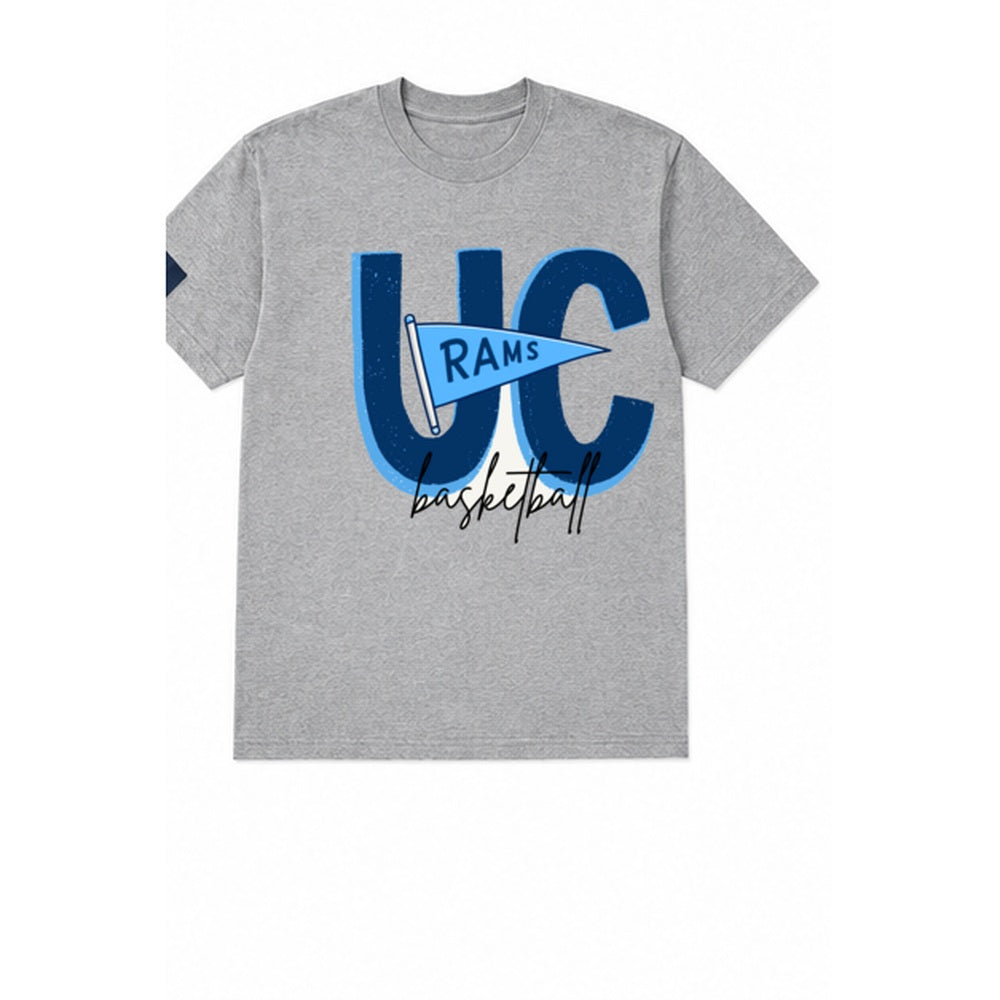 Rams Pennant T-shirt in gray